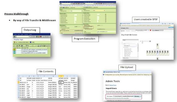 Pilot Test of the Integration add-on for SAP ERP HCM & SuccessFactors ...